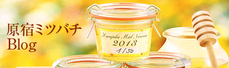 原宿ミツバチBlog