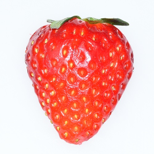 ワッフル　あまつおとめ【うた乃】　ショコラ（2026 京王百貨店催事商品）