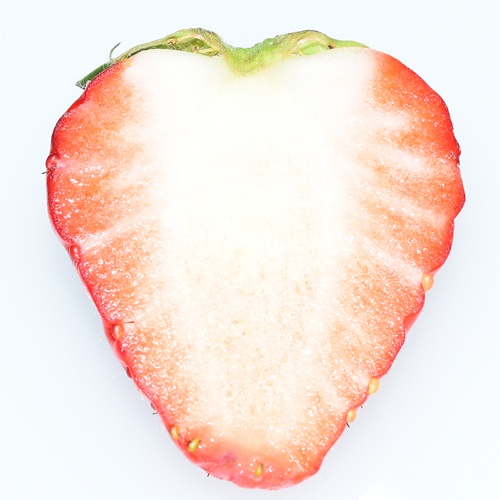 ワッフル　あまつおとめ【うた乃】　ショコラ（2026 京王百貨店催事商品）