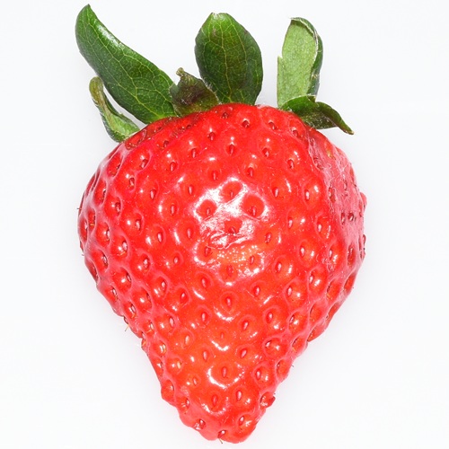 ワッフル　あまりん　ショコラ（2026 京王百貨店催事商品）