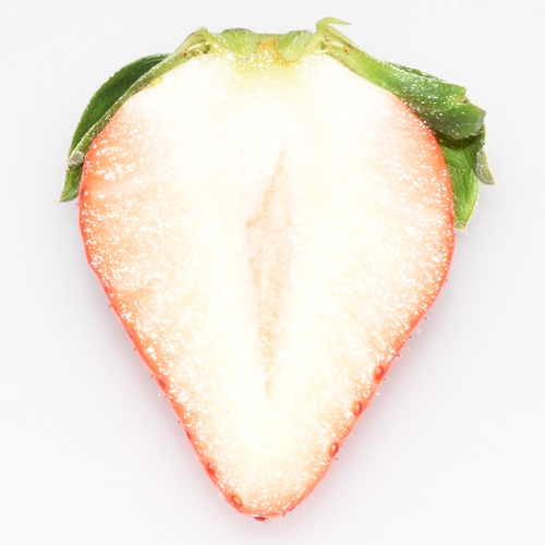 ワッフル　おおきみ　ショコラ（2026 京王百貨店催事商品）