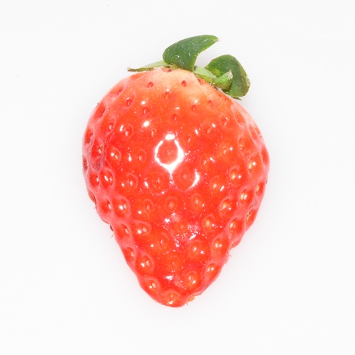 ワッフル　とっておき（2026 京王百貨店催事商品）