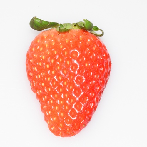 ワッフル　ふくはる香（2026 京王百貨店催事商品）