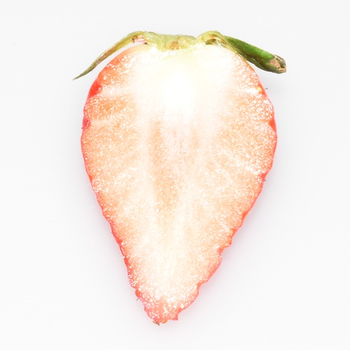 ワッフル　ふくはる香（2026 京王百貨店催事商品）