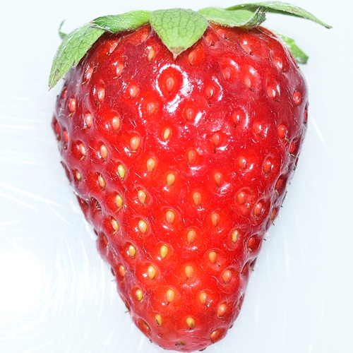 ワッフル　ふさの香（2026 京王百貨店催事商品）