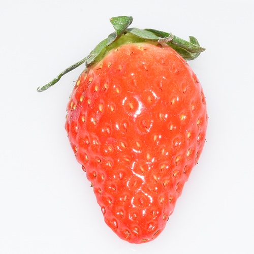 ワッフル　みおしずく　ショコラ（2026 京王百貨店催事商品）