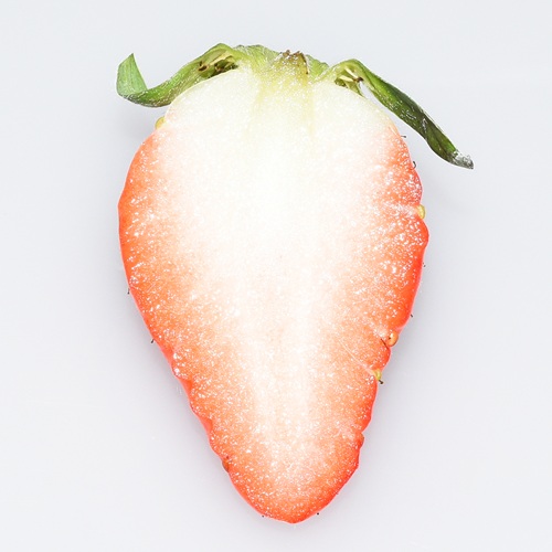 ワッフル　みおしずく　ショコラ（2026 京王百貨店催事商品）