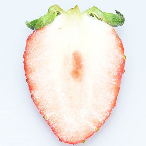 ワッフル　紀の香（2026 京王百貨店催事商品）