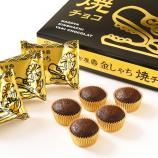 名古屋金しゃち焼チョコ