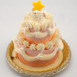 【発売前コロンバン原宿店限定クリスマス商品】プチ・プリンセス
