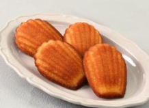 12月、2026年1月の催し物のご案内